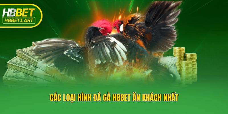 Các loại hình đá gà Hbbet ăn khách nhất